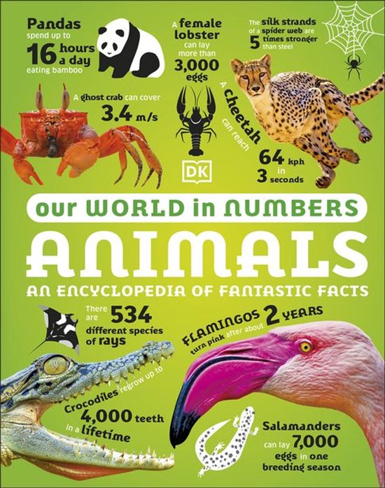 DK Our World in Numbers - Our World in Numbers Animals - cover