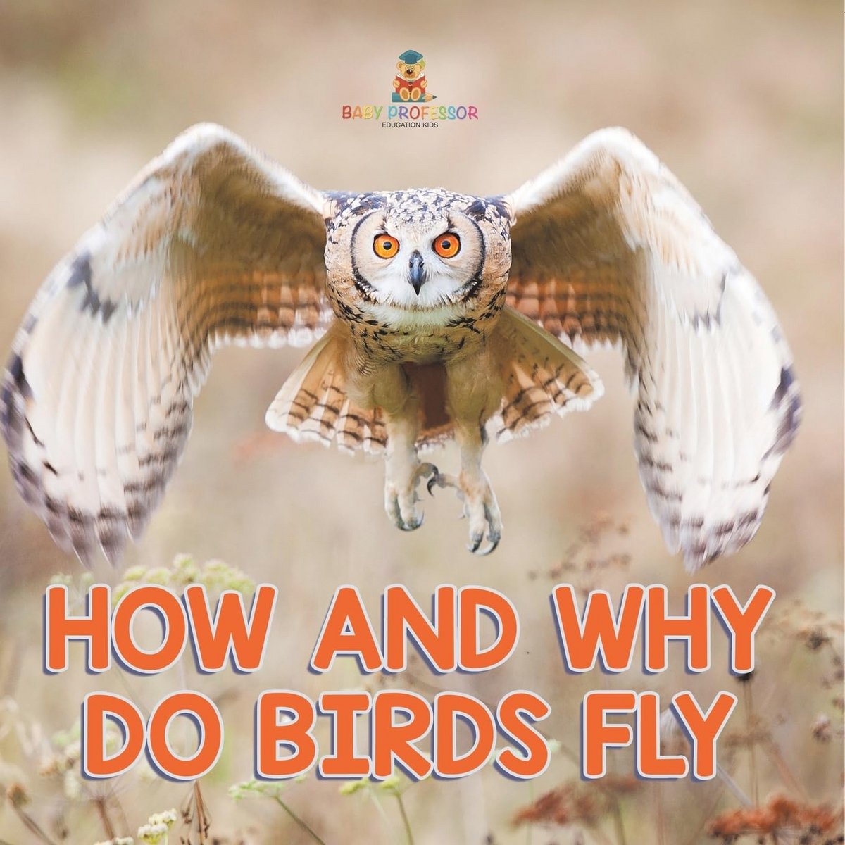 Waarom Vliegen Vogels? Fascinerend Leerboek over Luchtvaart en Aerodynamica