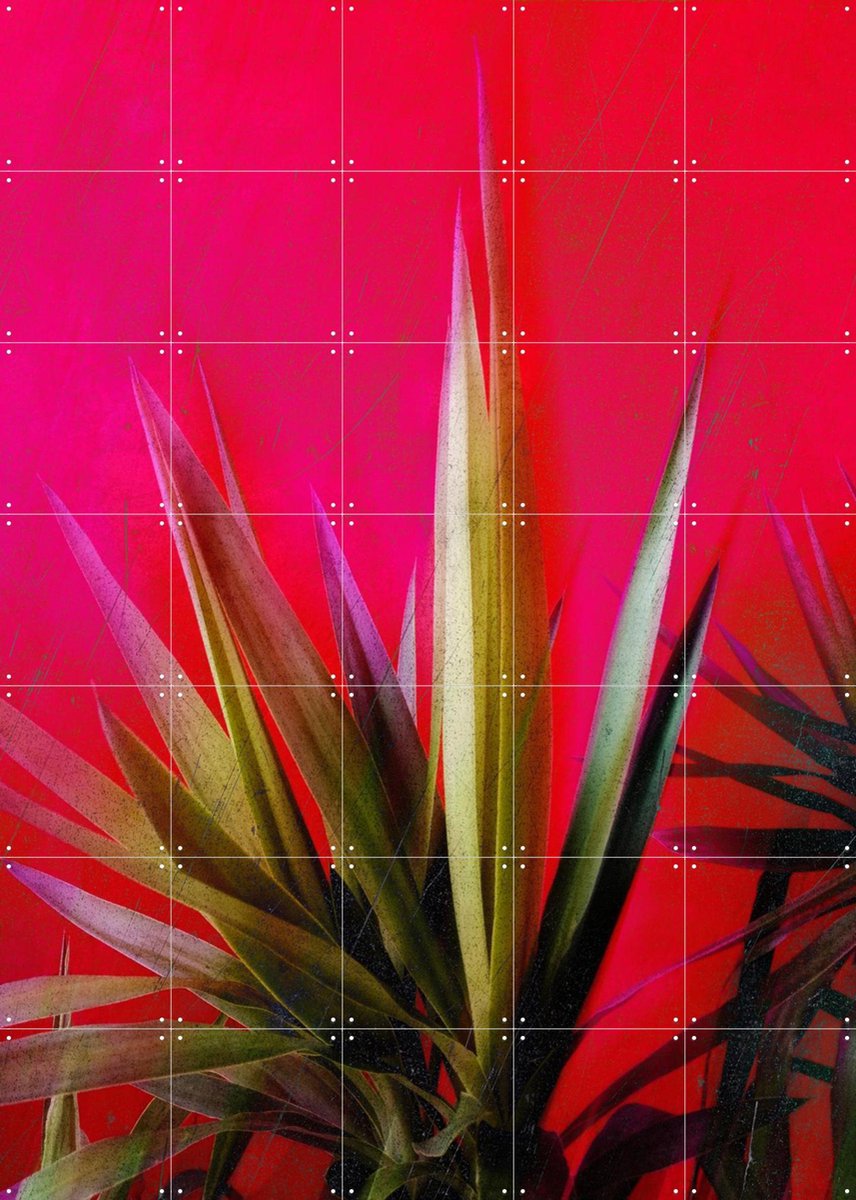 IXXI Magenta and Green, Angelo Cerantola - 100 x 140 cm - Gratis ophangtool - Grote wanddecoratie en posters - Abstract, Kleurrijk, Digitale Kunst