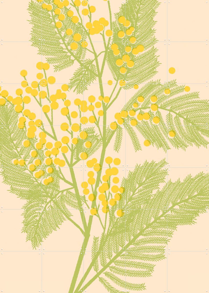 IXXI Mimosa, Florent Bodart - 100 x 140 cm - Gratis ophangtool - Grote wanddecoratie en posters - Grafisch Ontwerp, Minimalisme, Kleurrijk
