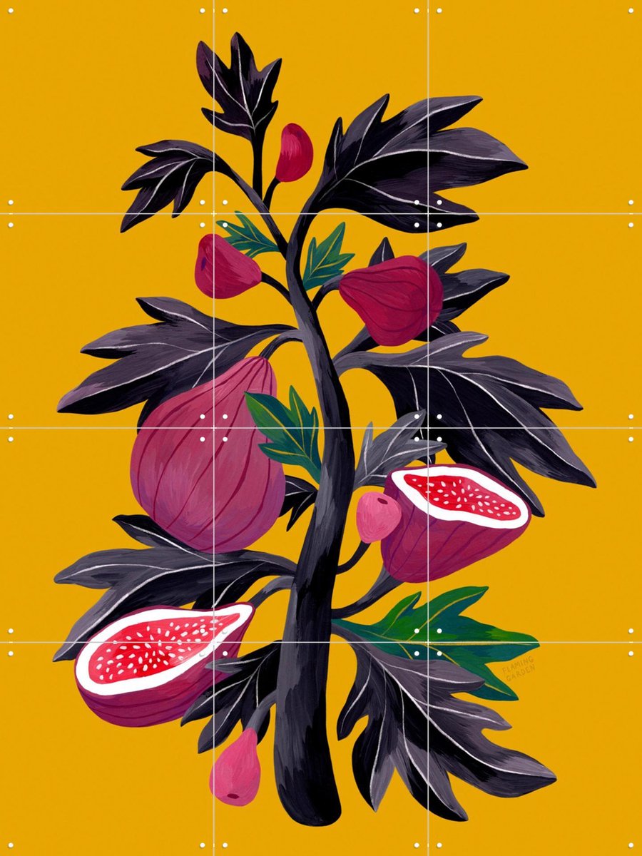 IXXI Fig Tree, Flaming Garden - 60 x 80 cm - Gratis ophangtool - Grote wanddecoratie en posters - Kleurrijk, Speels, Illustraties, Keuken, Eetkamer
