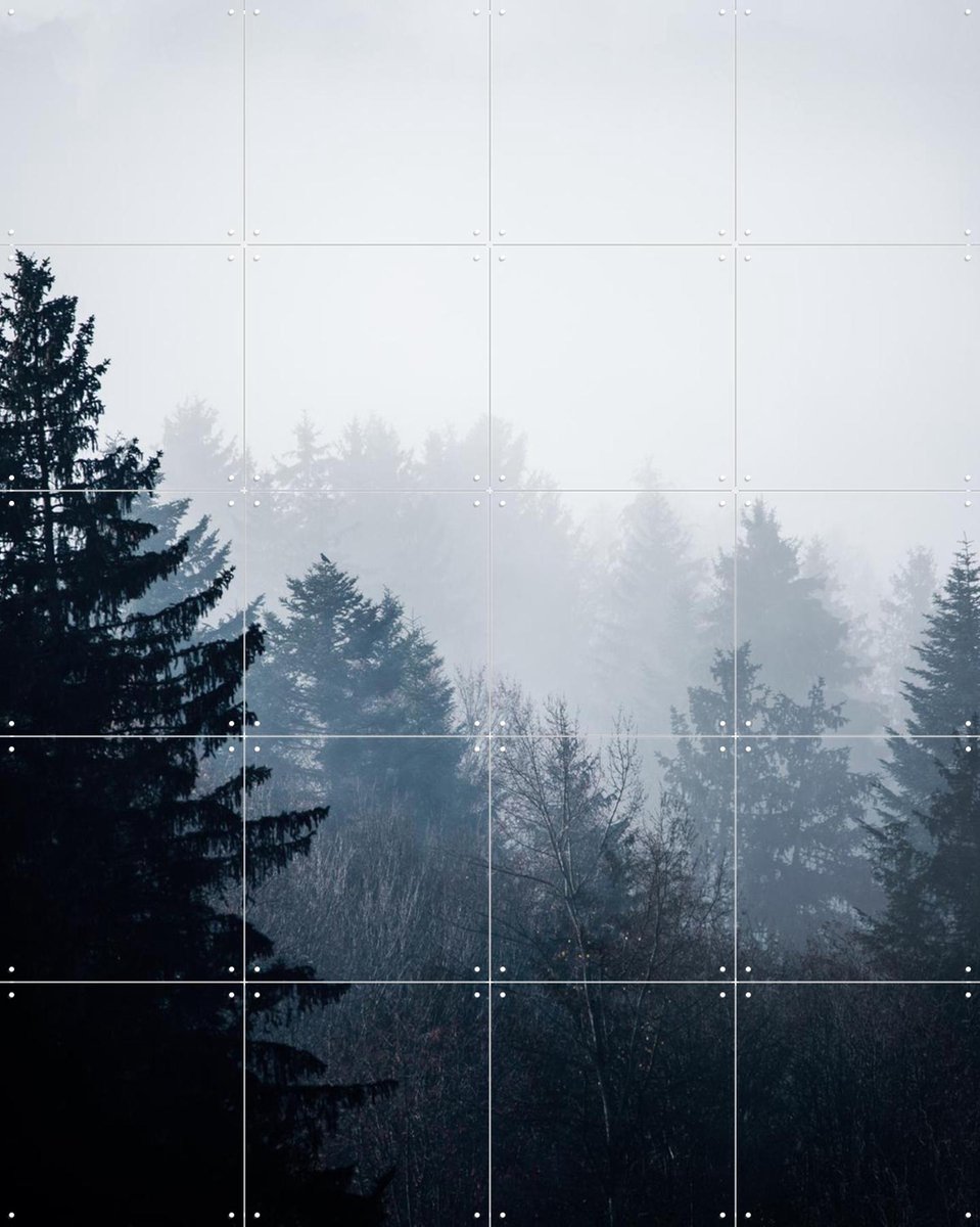 IXXI Woods 7, Mareike Böhmer - 80 x 100 cm - Gratis ophangtool - Grote wanddecoratie en posters - Fotografie, Woonkamer, Slaapkamer, Bossen, Natuur