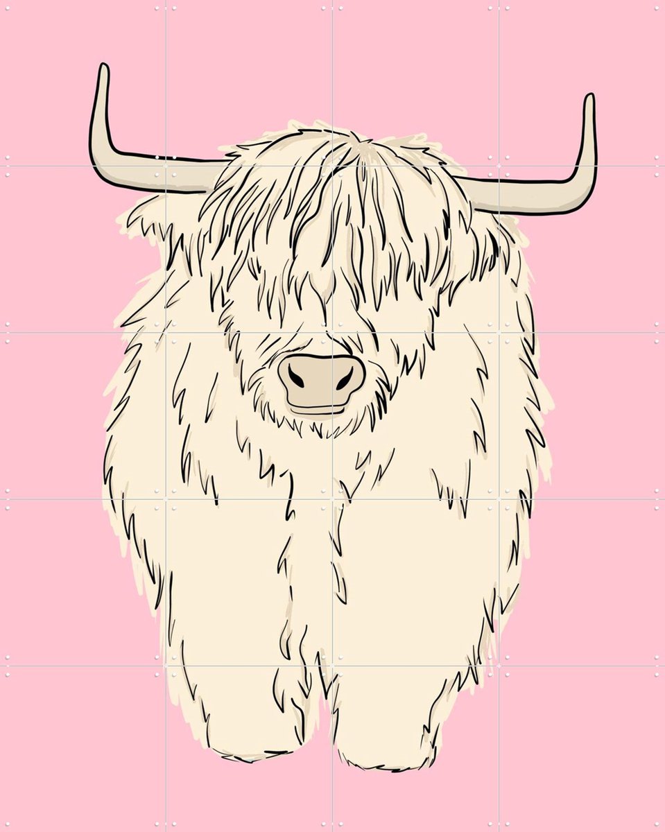 IXXI Pink Highland Cow, BAINAI - 80 x 100 cm - Gratis ophangtool - Grote wanddecoratie en posters Kinderkamer, Kinderen, Dieren