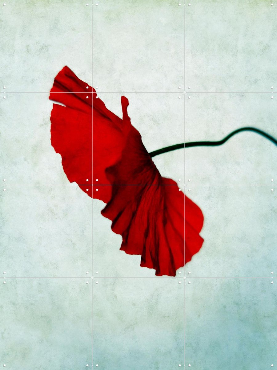 IXXI Red, Angelo Cerantola - 60 x 80 cm - Gratis ophangtool - Grote wanddecoratie en posters - Kleurrijk, Minimalisme, Fotografie, Slaapkamer