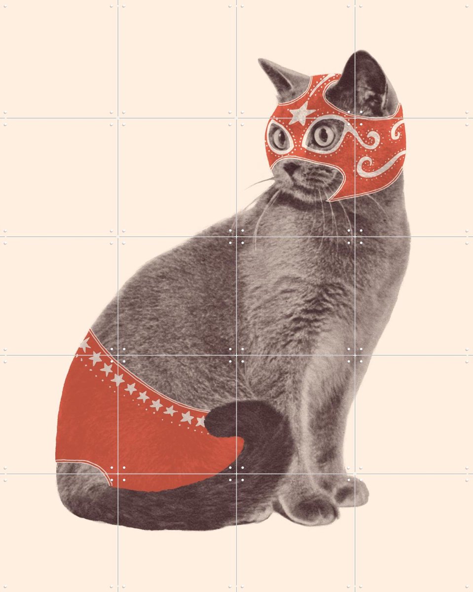 IXXI Chat Catcheur, Florent Bodart - 80 x 100 cm - Gratis ophangtool - Grote wanddecoratie en posters - Fantasierijk, Speels, Vintage, Illustraties