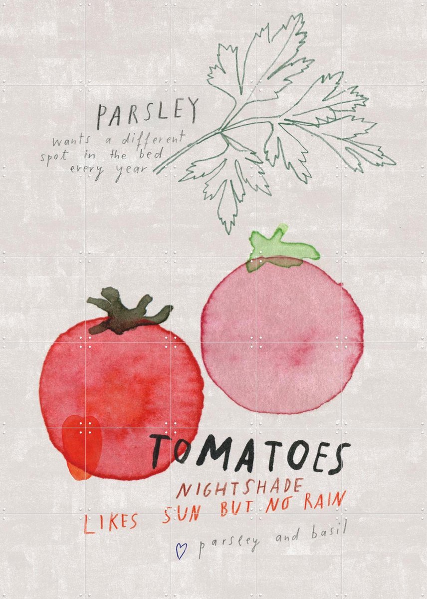 IXXI Tomatoes, Signorinah - 100 x 140 cm - Gratis ophangtool - Grote wanddecoratie en posters - Speels, Illustraties, Aquarel, Keuken, Eetkamer