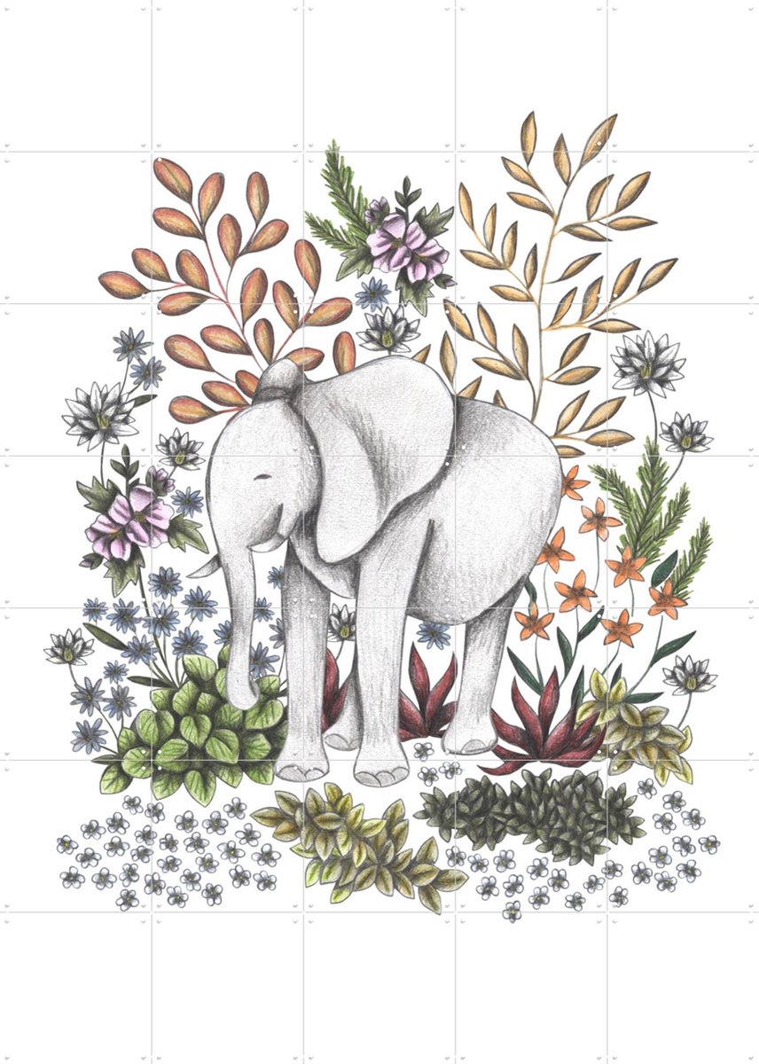 IXXI Safari Elephant, Cecilia Battaini - 100 x 140 cm - Gratis ophangtool - Grote wanddecoratie en posters - Illustraties, Fantasierijk, Line art