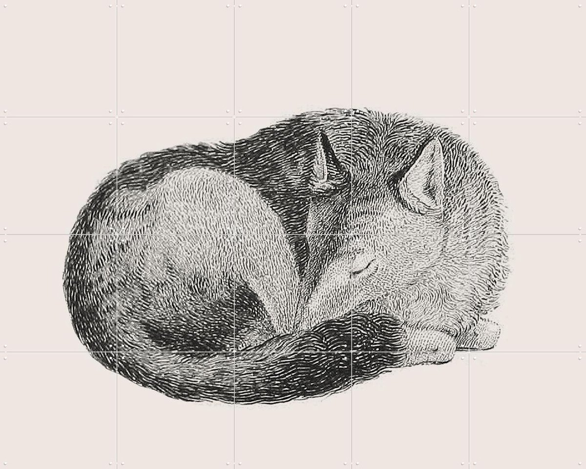 IXXI Sleeping Fox light, IXXI - 100 x 80 cm - Gratis ophangtool - Grote wanddecoratie en posters - Houtsnede, Vintage, Illustraties, Line art