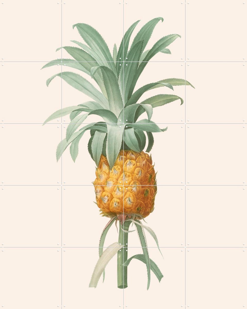 IXXI Ananas, Aster Edition - 80 x 100 cm - Gratis ophangtool - Grote wanddecoratie en posters - Vintage, Illustraties, Naturalisme, Keuken, Woonkamer