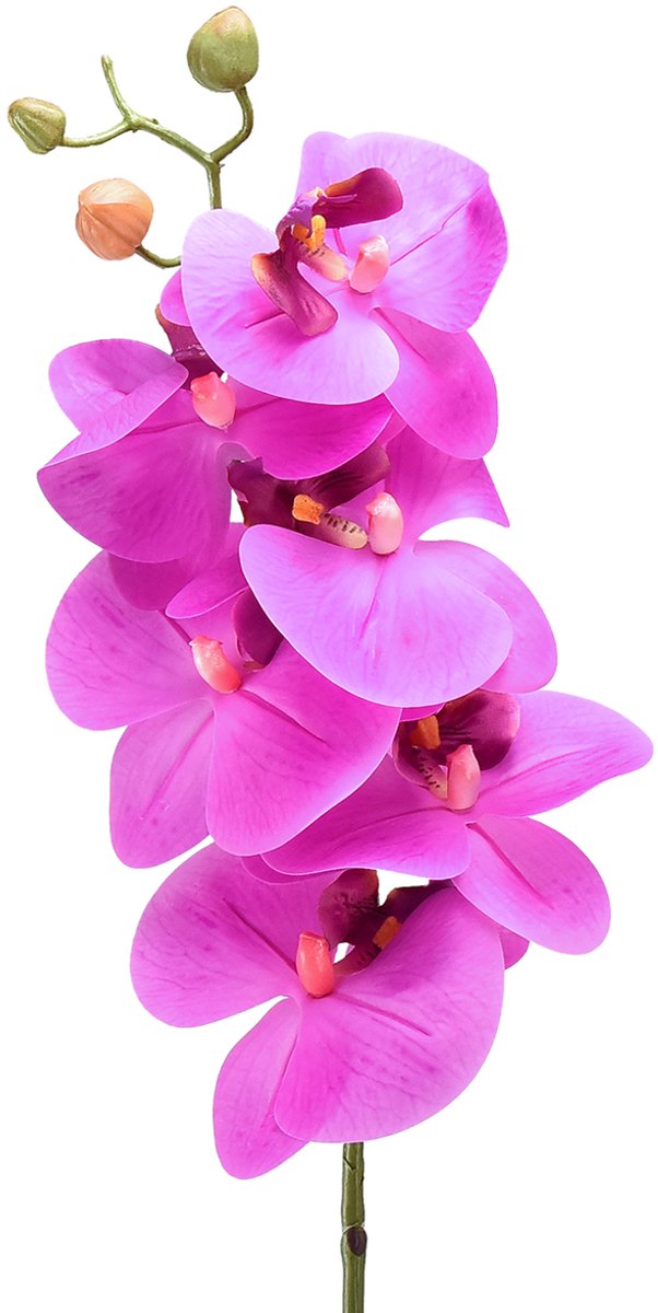Kunstorchidee Phalaenopsis Orchidee Roze 78cm