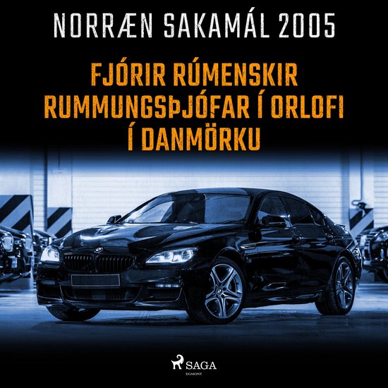 Fjórir rúmenskir rummungsþjófar í orlofi í Danmörku - cover
