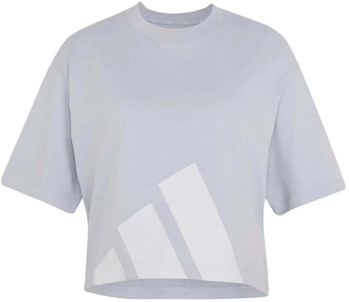 Adidas Essentials Big Logo Boyfriend Graphic T-shirt Met Korte Mouwen XS Vrouw Zilver