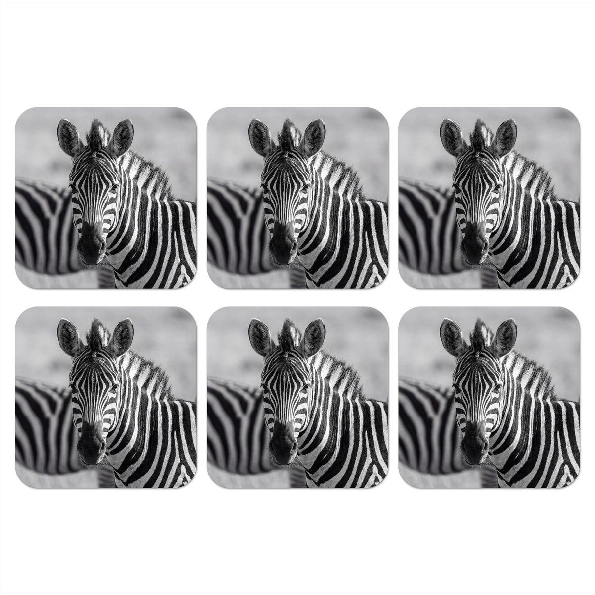 Onderzetters voor glazen - Zebra's - Zwart - Wit - 10x10 cm - Glasonderzetters - 6 stuks
