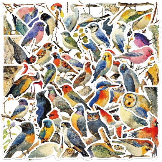 Een collage van 50 vogelstickers, waaronder uilen, blauwe gaaien, roodborstjes en flamingo's, met diverse achtergronden zoals takken en bladeren.