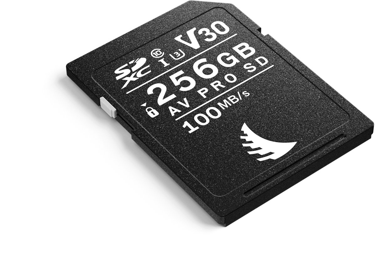 Angelbird Technologies AV PRO SD V30 256 GB SDXC UHS-I (AVP256SDV30)