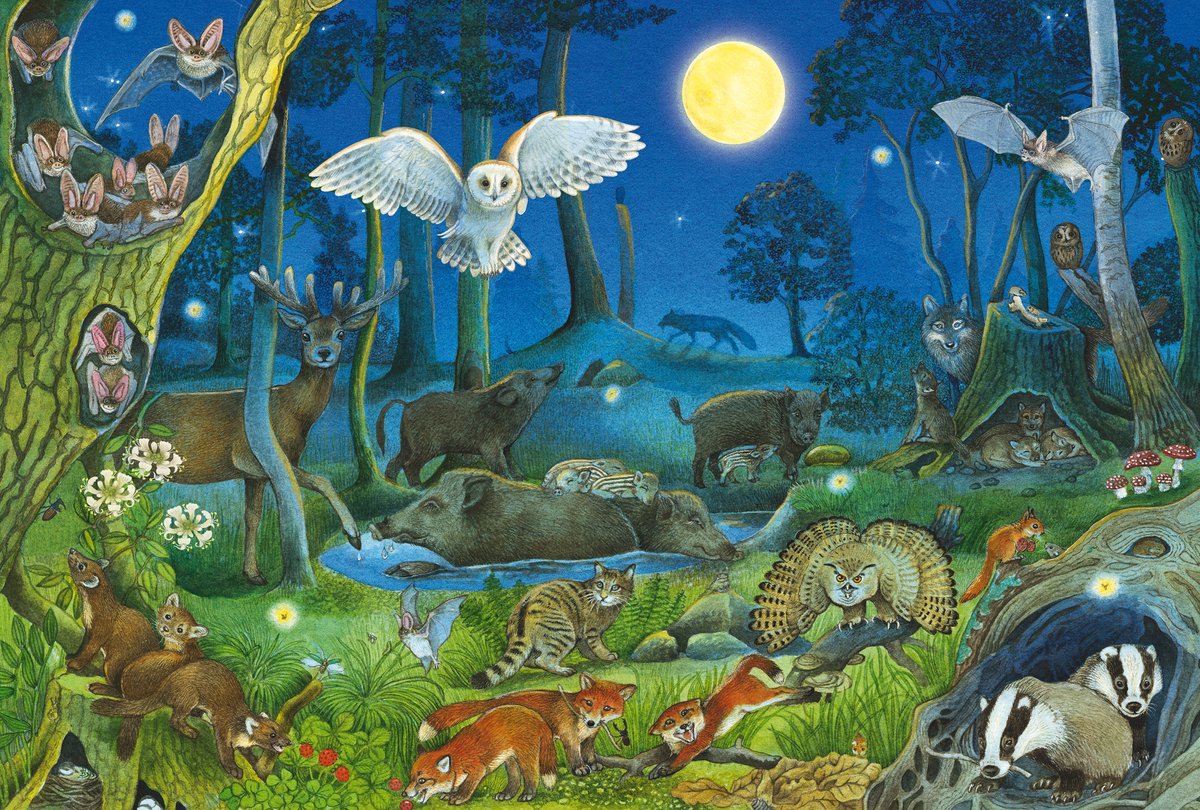 Schmidt - Legpuzzel - Dieren in het Nachtbos - 100 stukjes - Kinderen - vanaf 6 jaar — afbeelding 2