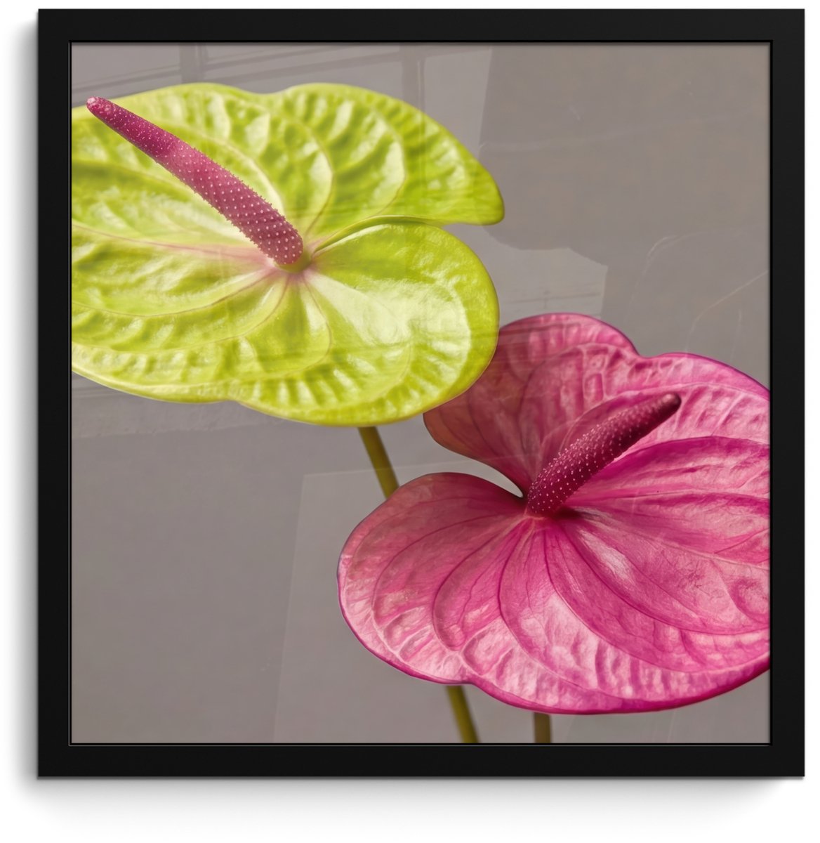 FrameYourWall Poster in lijst - Fotolijst 40x40 cm - Posters - Planten - Anthurium - Groen - Roze - Posterlijst zwart - Decoratie - Wanddecoratie woonkamer - Muurdecoratie slaapkamer