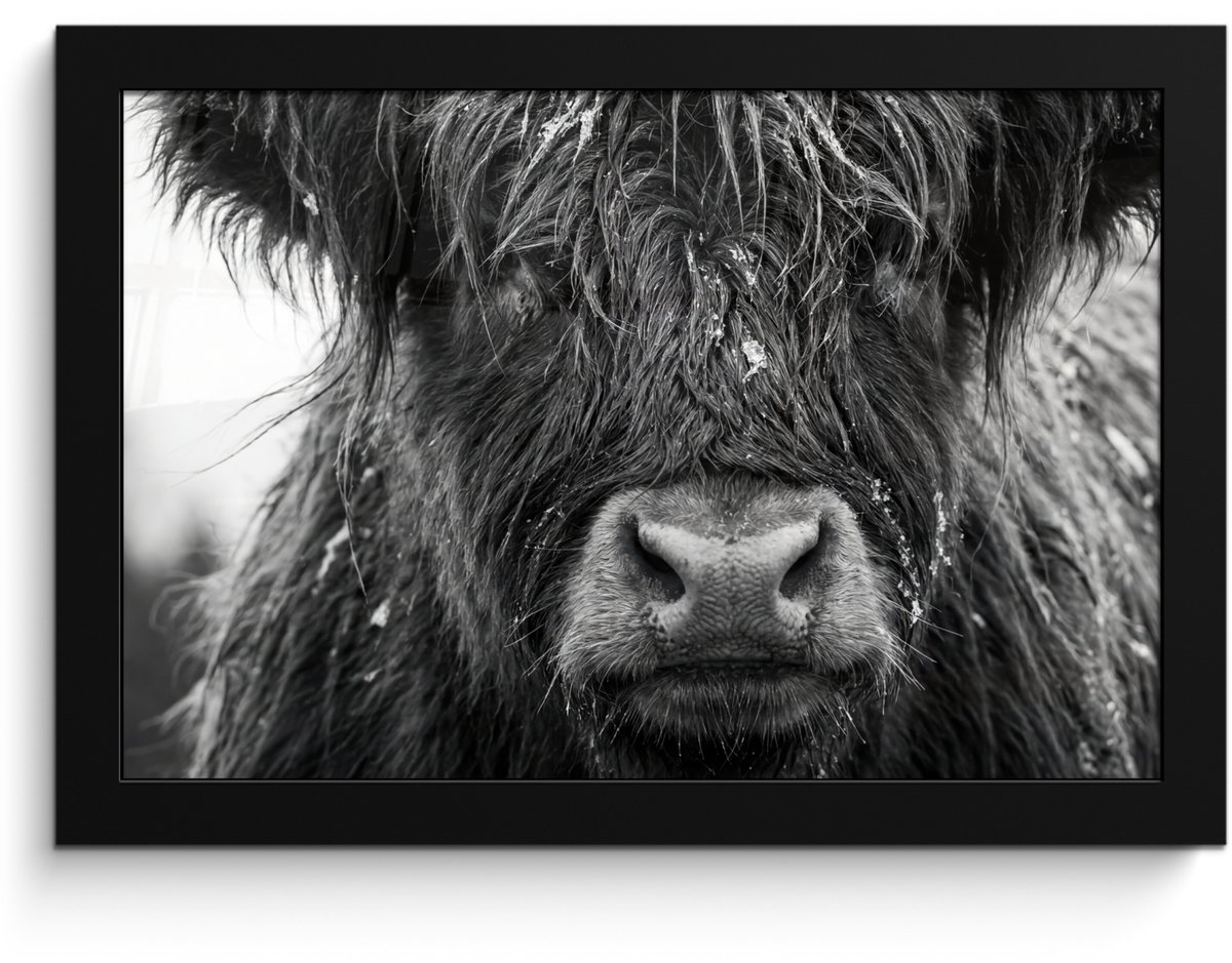 FrameYourWall Poster in lijst - Fotolijst 30x20 cm - Posters - Schotse hooglander - Zwart - Wit - Sneeuwvlokken - Posterlijst zwart - Decoratie - Wanddecoratie woonkamer - Muurdecoratie slaapkamer