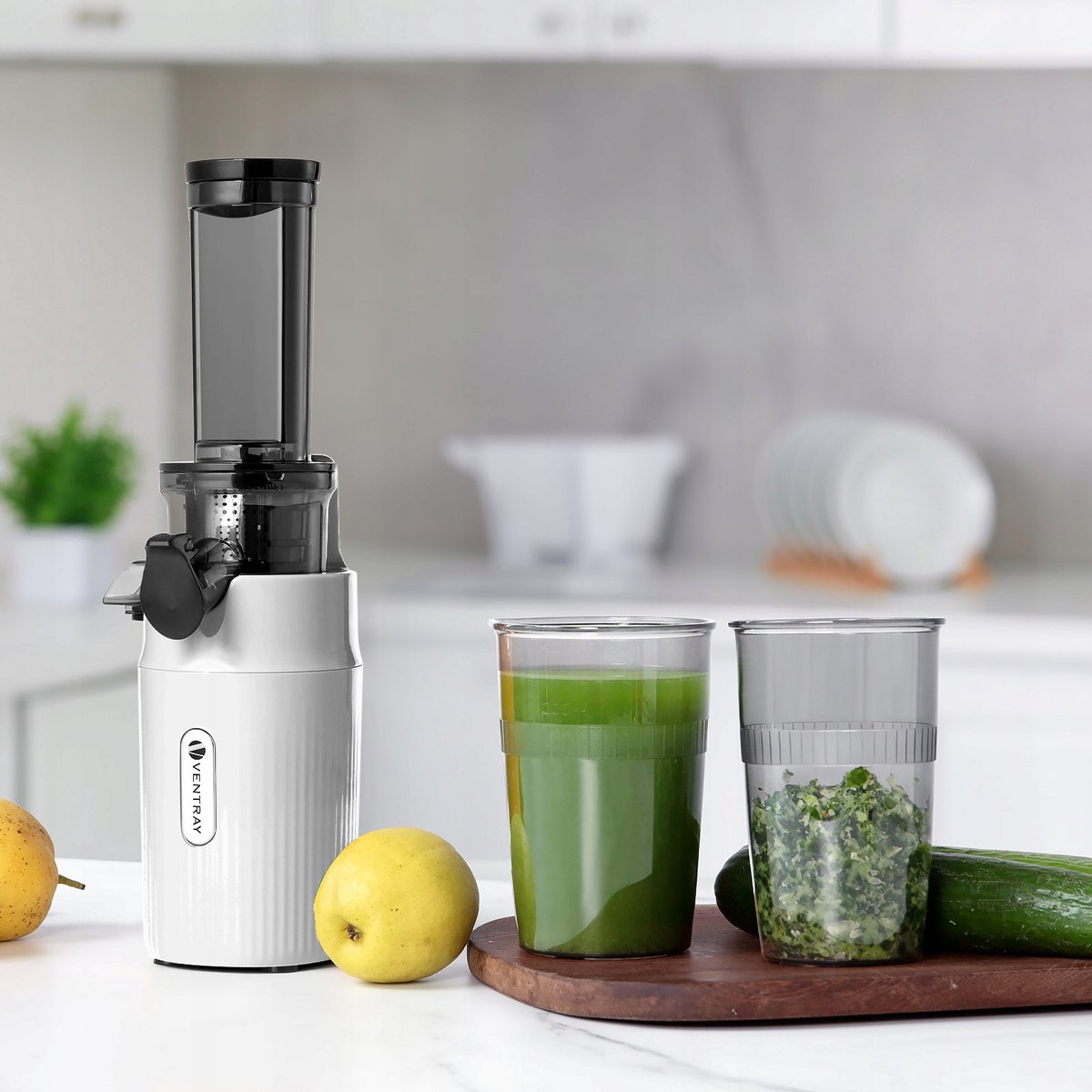 Ventray Essential Ginnie Juicer - compacte slowjuicer thumbnail 5