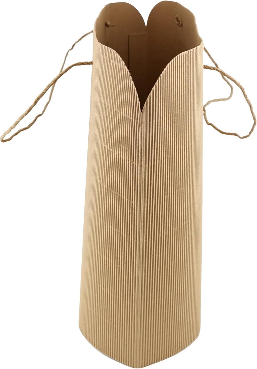 6x Stevige Kraft Papieren Zakken met Handvat - Cadeautas & Boodschappentas - Golfpatroon