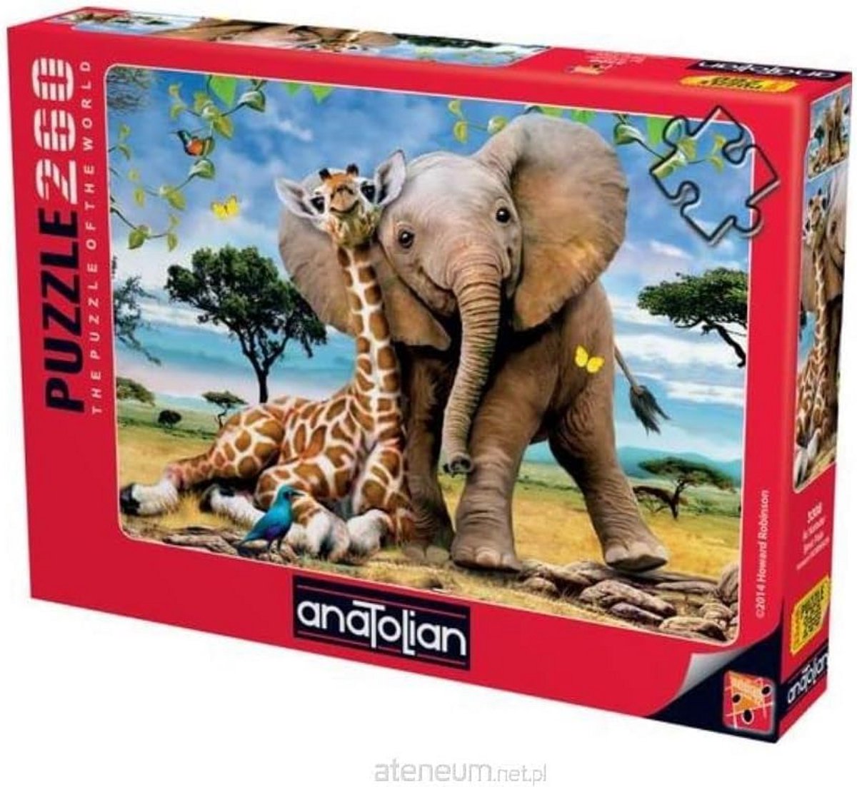1000 Stukjes Puzzel Kleurrijk en Uitdagend Puzzelspel