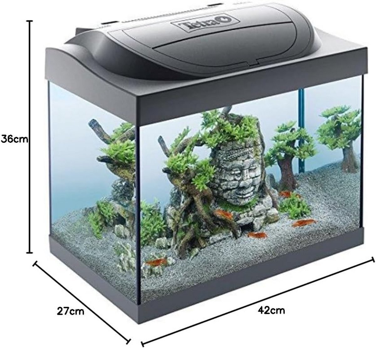 LED Aquarium Set 30 Liter voor Beginners en Kreeften