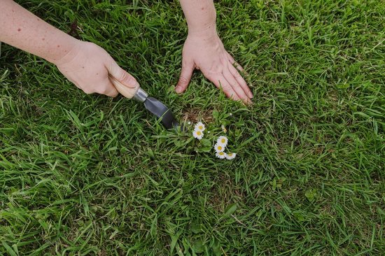Handmatig Uitleggereedschap voor Madeliefjes en Kort Geworteld Onkruid van Merkloos	 — afbeelding 3