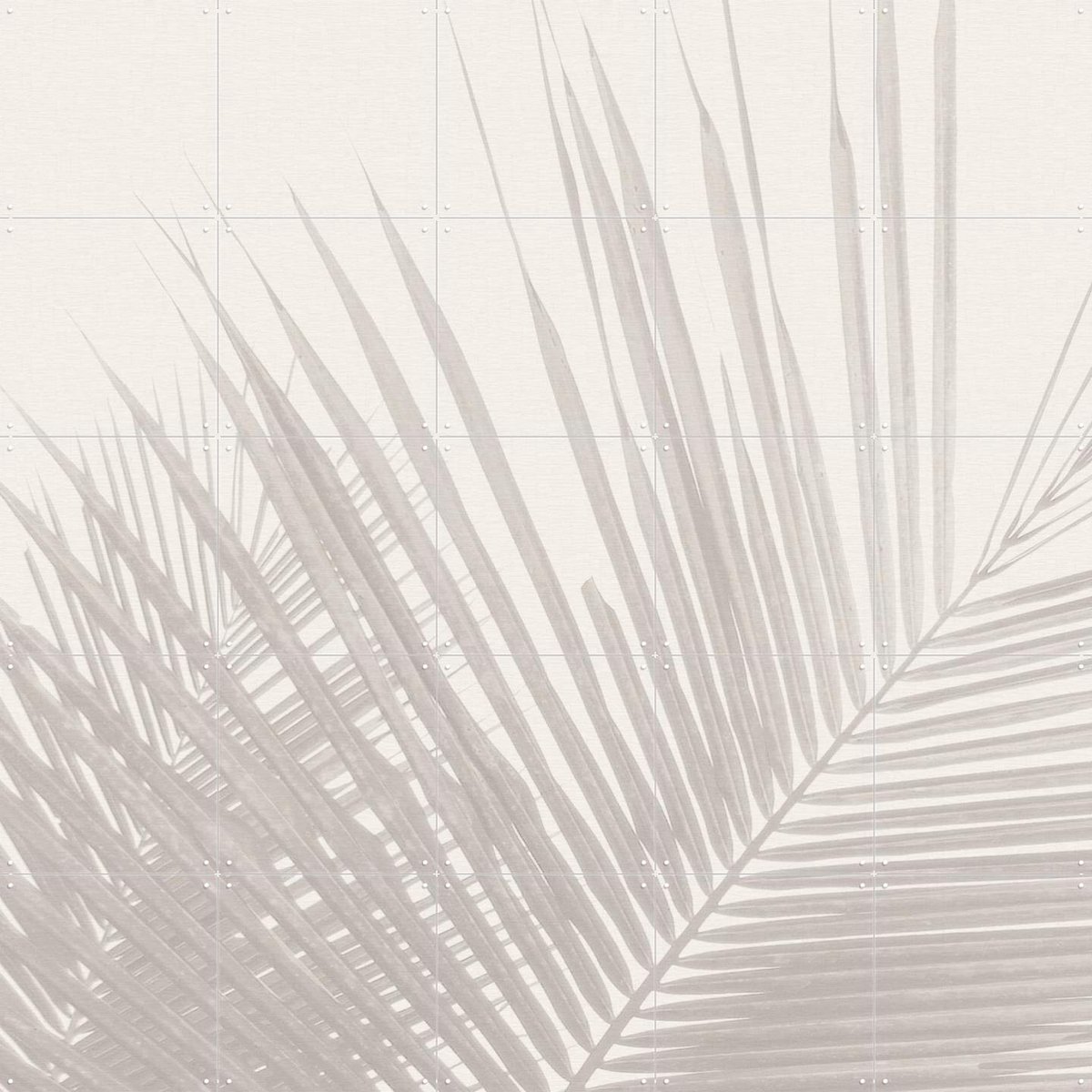 IXXI Neutral Tropical palm leaves, Bloomery Decor - 100 x 100 cm - Gratis ophangtool - Grote wanddecoratie en posters - Minimalisme, Fotografie