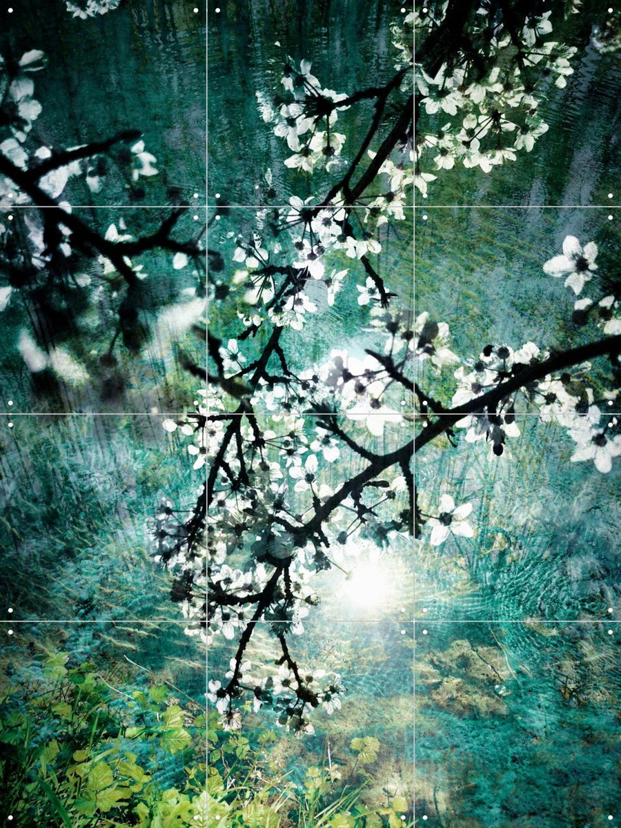 IXXI Blooms over Water, Angelo Cerantola - 60 x 80 cm - Gratis ophangtool - Grote wanddecoratie en posters - Fotografie, Bloemen, Landschappen