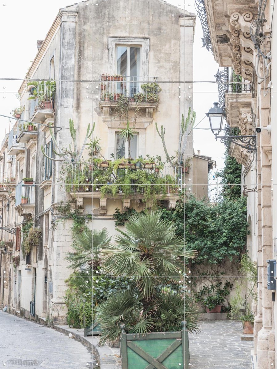 IXXI Botanical Street Scene, Photolovers - 60 x 80 cm - Gratis ophangtool - Grote wanddecoratie en posters - Fotografie, Botanisch, Architectuur