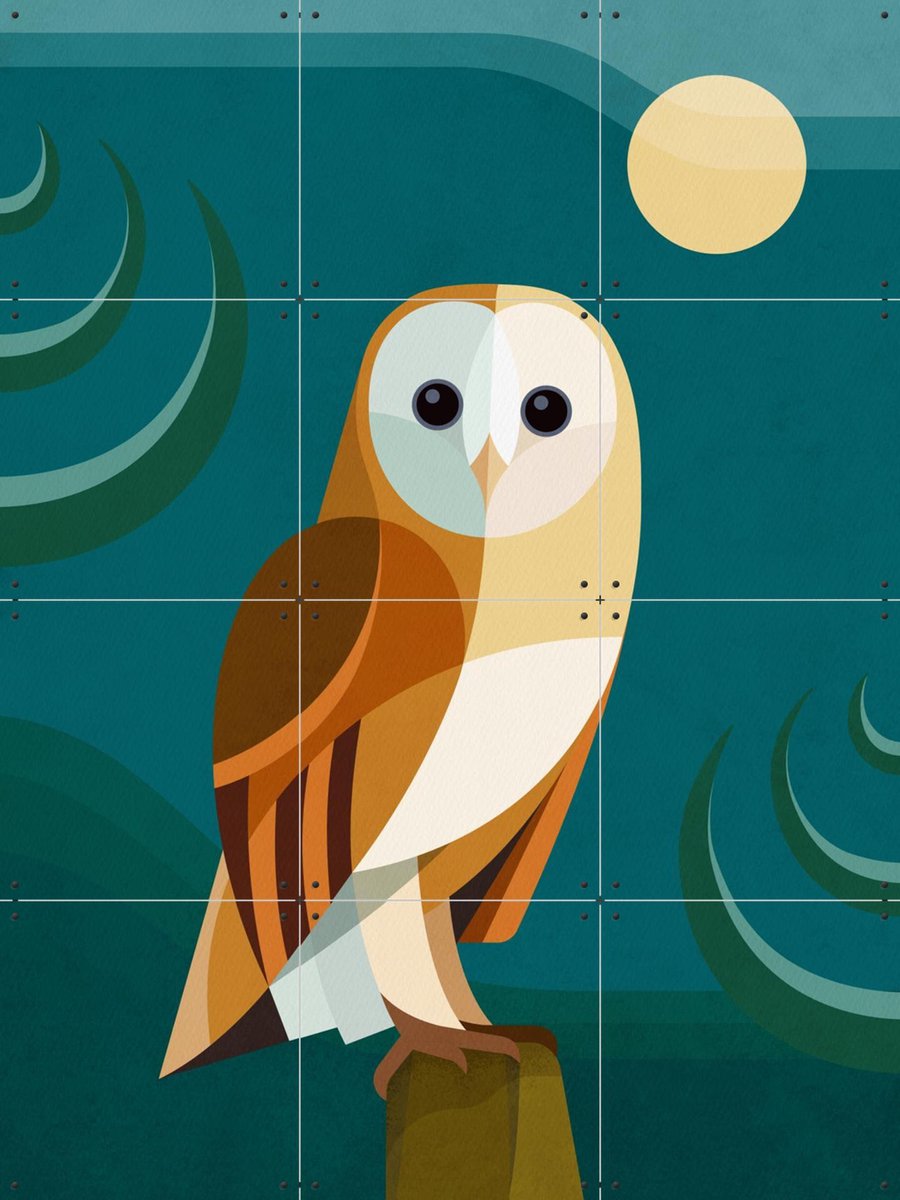 IXXI Uil, Elke Uijtewaal - 60 x 80 cm - Gratis ophangtool - Grote wanddecoratie en posters - Illustraties, Digitale Kunst, Grafisch Ontwerp