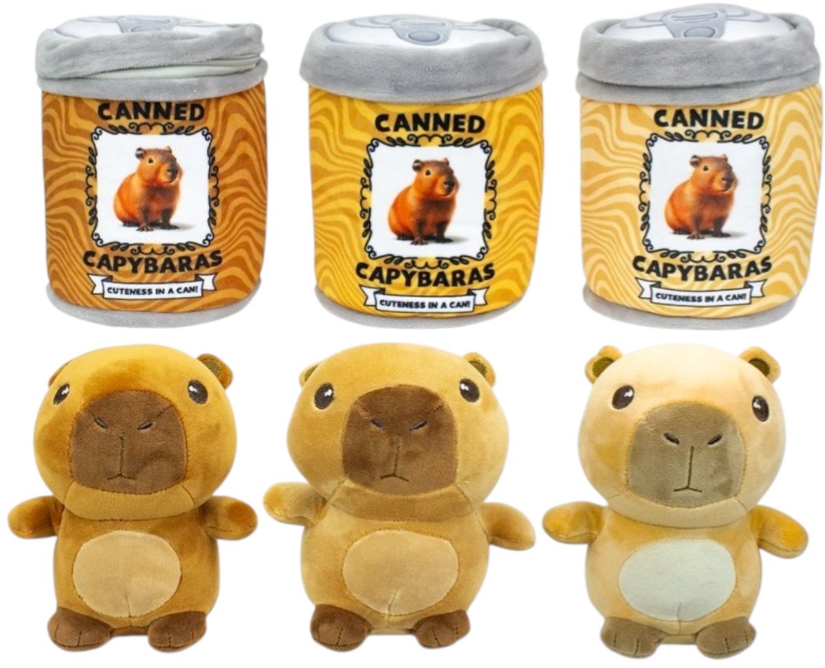 Pluche Capybara 16,5cm in Pluche Blik 13x18cm 3 assorti (levering 1 capybara in blik)