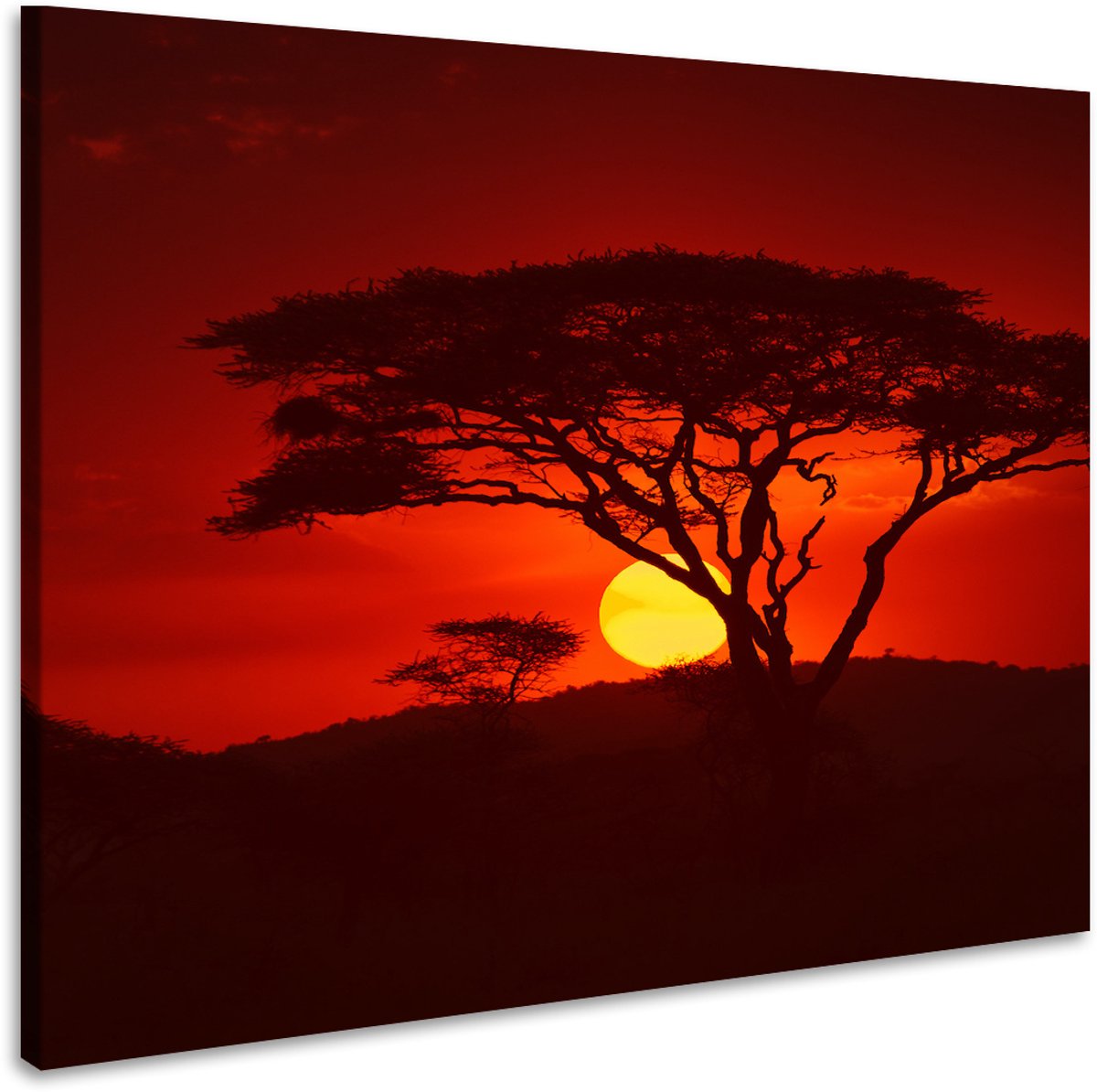 karo-art Schilderij - Zonsondergang in Afrika, premium print, 3 maten Multikleur