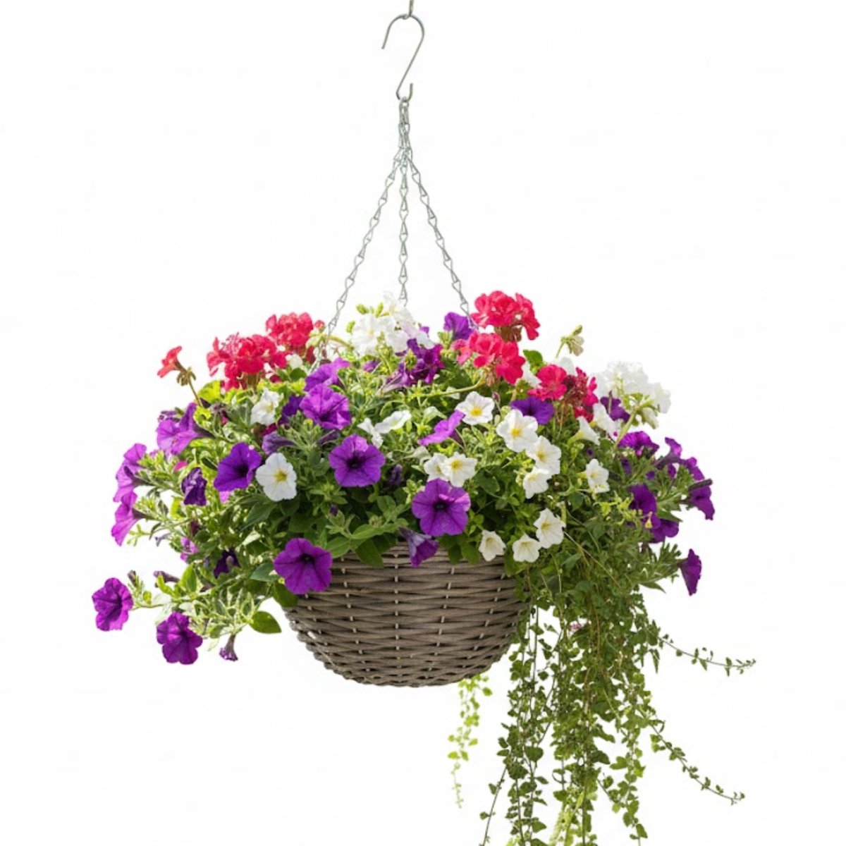 Vd Leeden Hangmand - D30 x H15 cm - gevlochten wilg - hangende plantenbak met ketting – bloempot – Handgevlochten in Indonesië