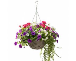 Vd Leeden Hangmand - D30 x H15 cm - gevlochten wilg - hangende plantenbak met ketting – bloempot – Handgevlochten in Indonesië