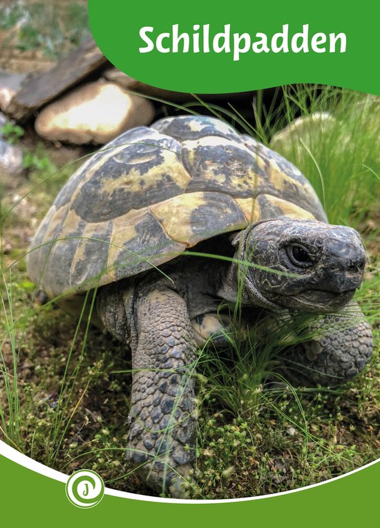 Junior Informatie 186 - Schildpadden