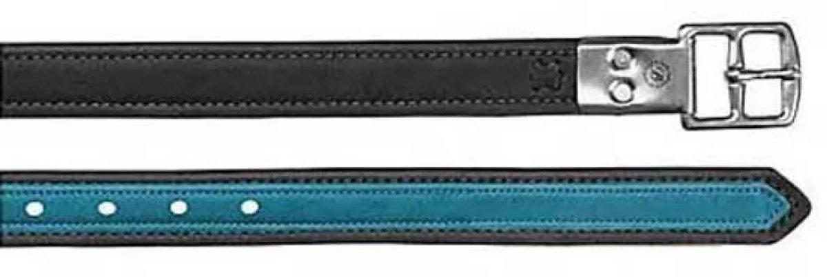 Bates Leather Luxe Buckles Stijgbeugelriemen Groen,Zwart 147 cm