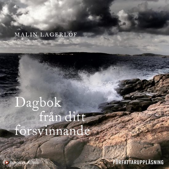 Dagbok från ditt försvinnande - cover
