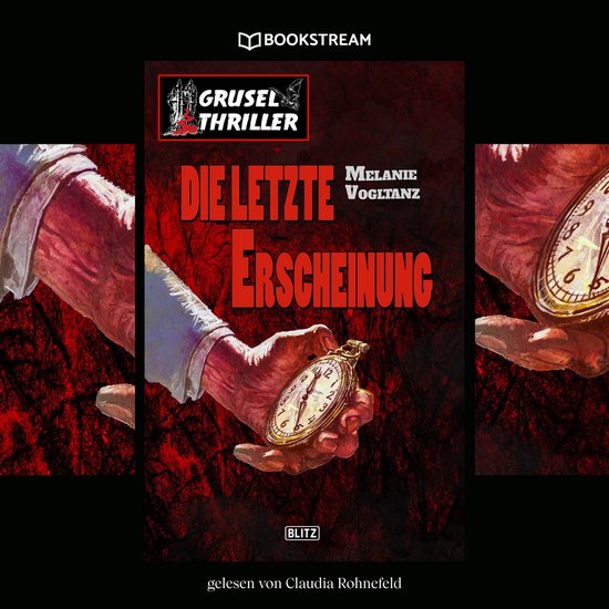 Die letzte Erscheinung - cover