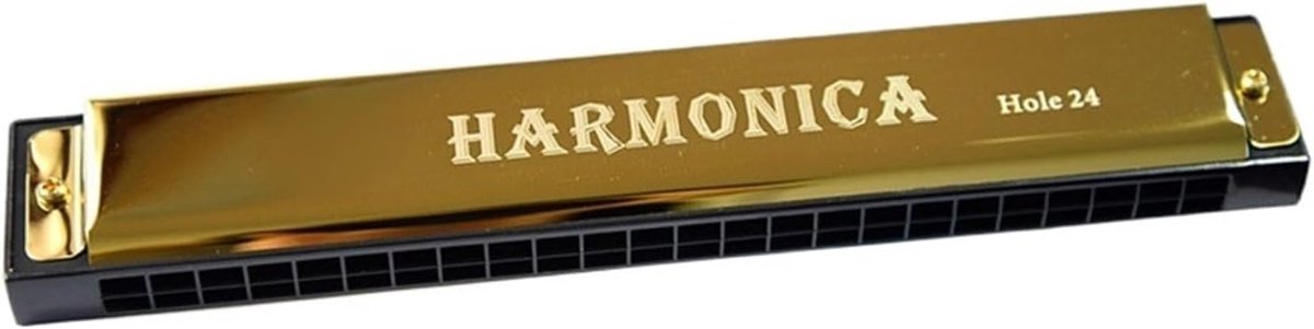 Mondharmonica - 24 Gats Instrument - Muziek Maken - Transparante Opbergdoos - 18cm Lengte - Goud