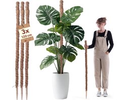 Plantensteun Stokken - Klimhulp Kokos - Planten Ondersteunen - Set Van Drie - 120 Cm Hoog - Natuurlijk Bruin