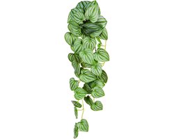UNUS® Kunsthangplant Peperomia Argyreia Hangplant Groen Kunstplanten 70 cm set van 2 voor Binnen en Buiten Nepplanten Kunst plant