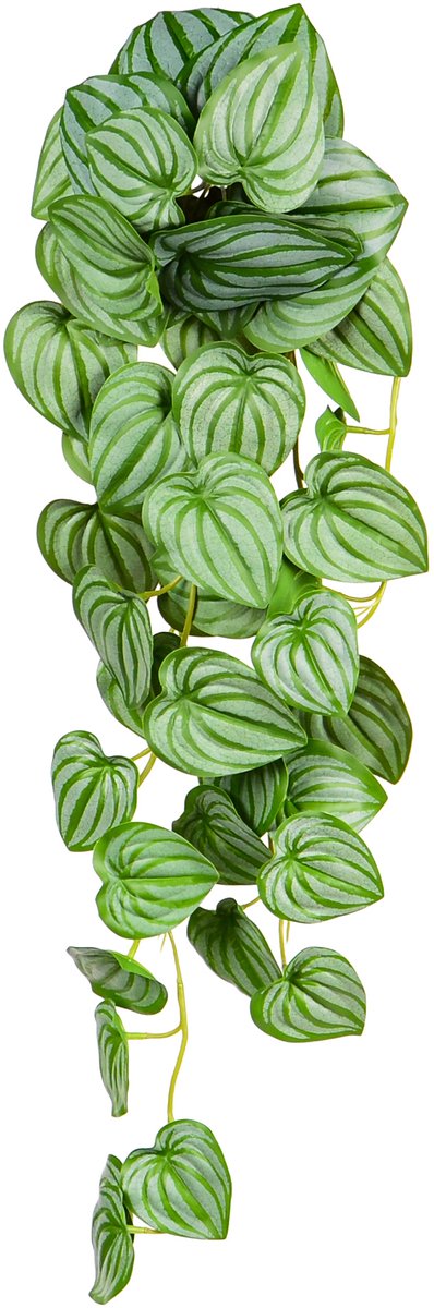 UNUS® Kunsthangplant Peperomia Argyreia Hangplant Groen Kunstplanten 70 cm set van 2 voor Binnen en Buiten Nepplanten Kunst plant