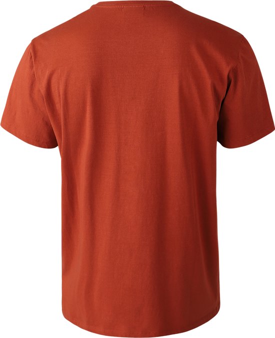 Brunotti - Axle - T-Shirt Arabian Spice - T-Shirt Heren - 100% Katoen - XL van Merkloos — afbeelding 3