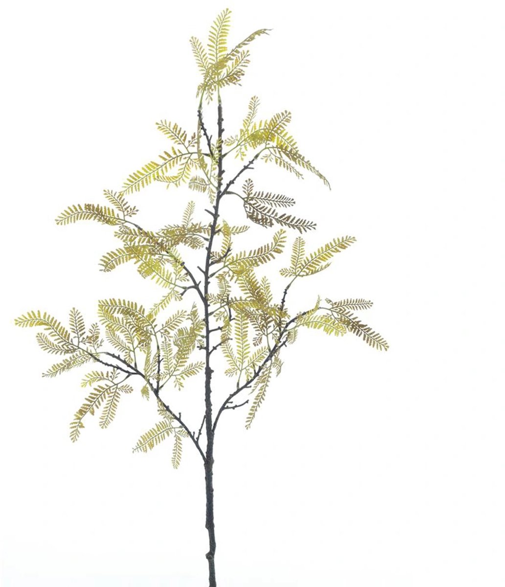 Kunsttak Mimosa Spray Groen - 119 cm