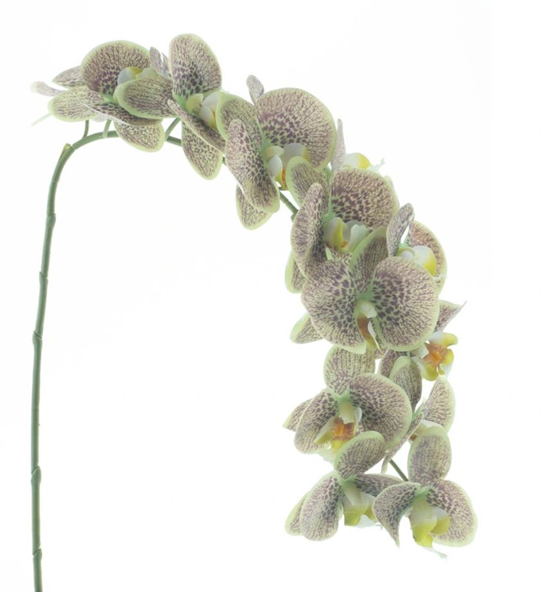 Kunstbloem Phalaenopsis Spray Bensa Groen - 111 cm