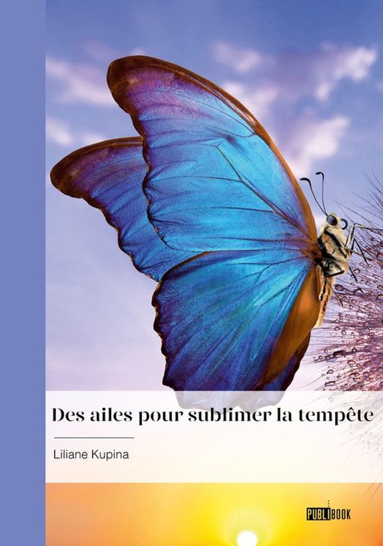 Des ailes pour sublimer la tempête - cover