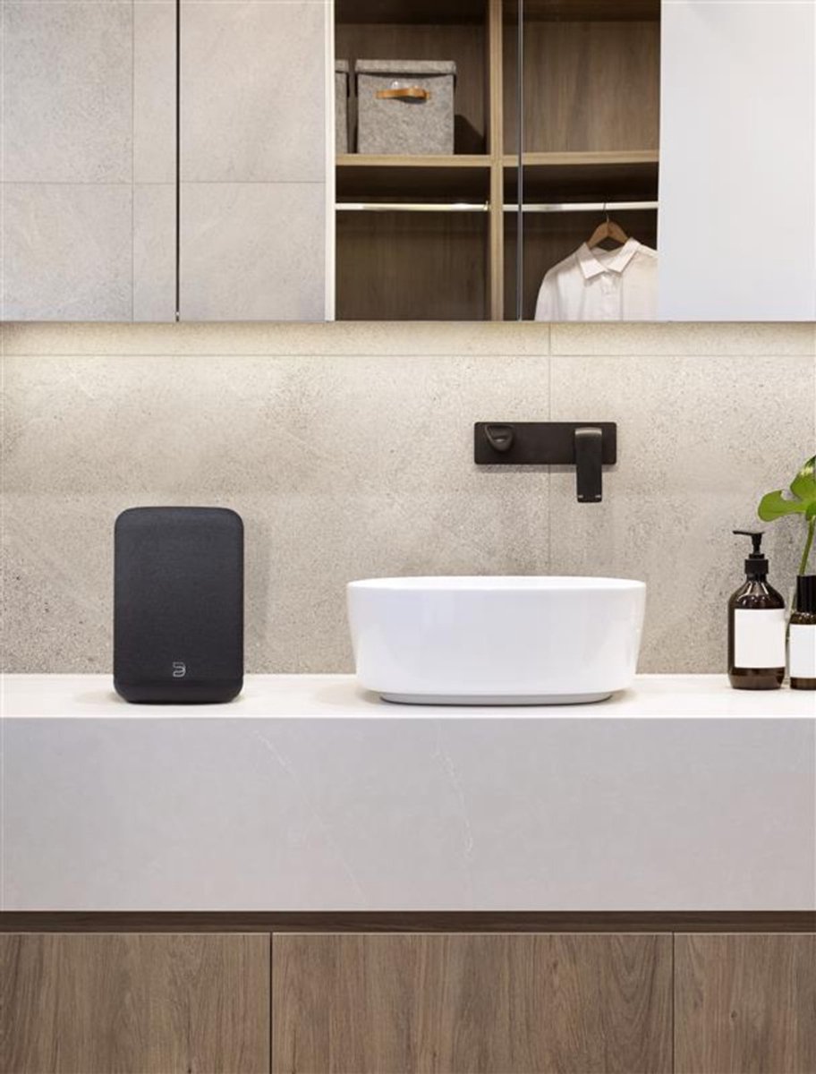 Bluesound PULSE FLEX Draadloze Streaming Speaker - Zwart