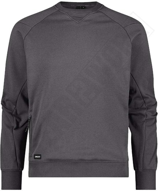 Grijze DASSY sweater met raglanmouwen en ritsdetail.