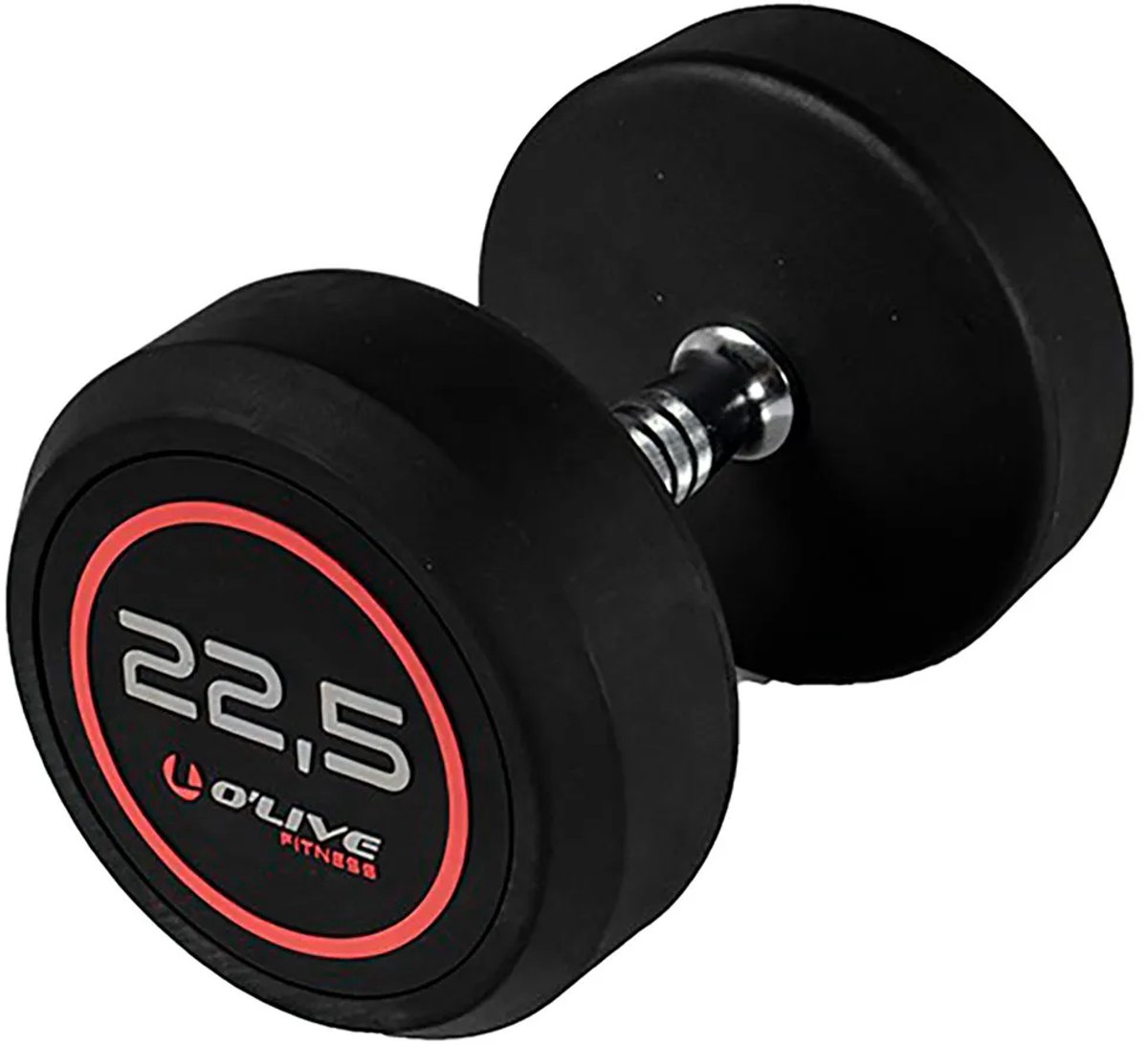Olive Rubber Pro-style 22.5kg Dumbbell Zilver 22.5 kg